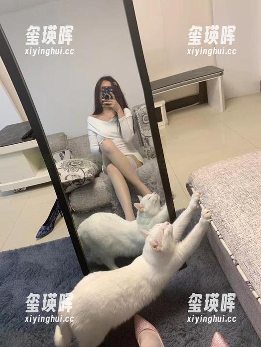 微密圈 - 从提袜少女到灰丝梦境，套图合集带你飞