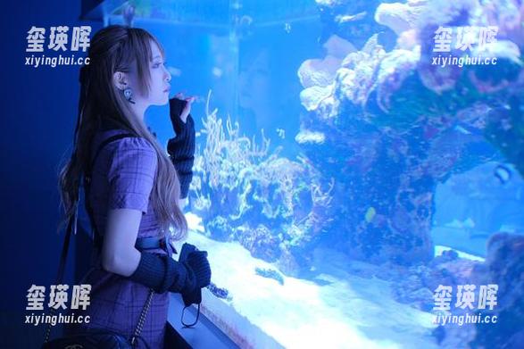 下载月城委员会女友，带你进入不一样的视觉宇宙